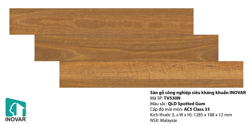 Sàn Gỗ Inovar 12mm - TV530N