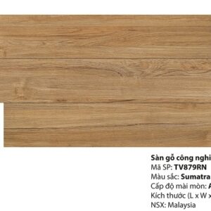 Sàn Gỗ Inovar 12mm - TV879RN